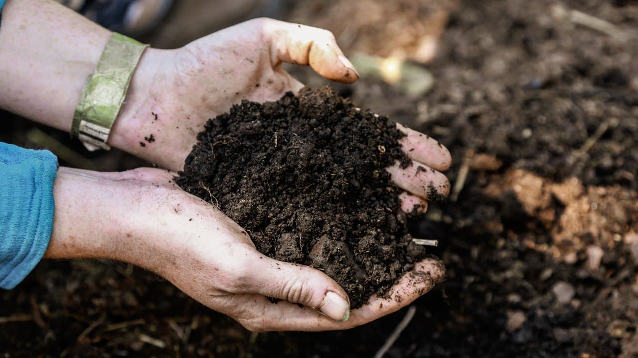 Hands holding rich, living compost soil