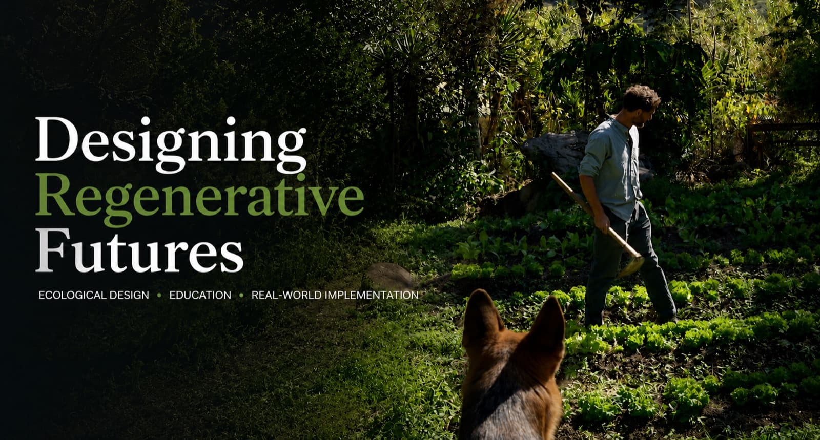 Become a Professional Permaculture Designer — Free Training