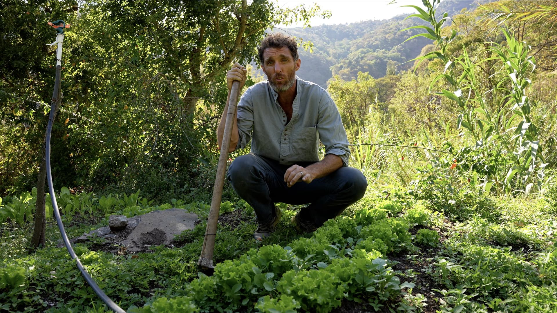 Neal Hegarty crouched in a bed of lettuces at Granja Tz’ikin, hoe in hand, the valley behind him